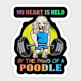 Cute poodle Sticker